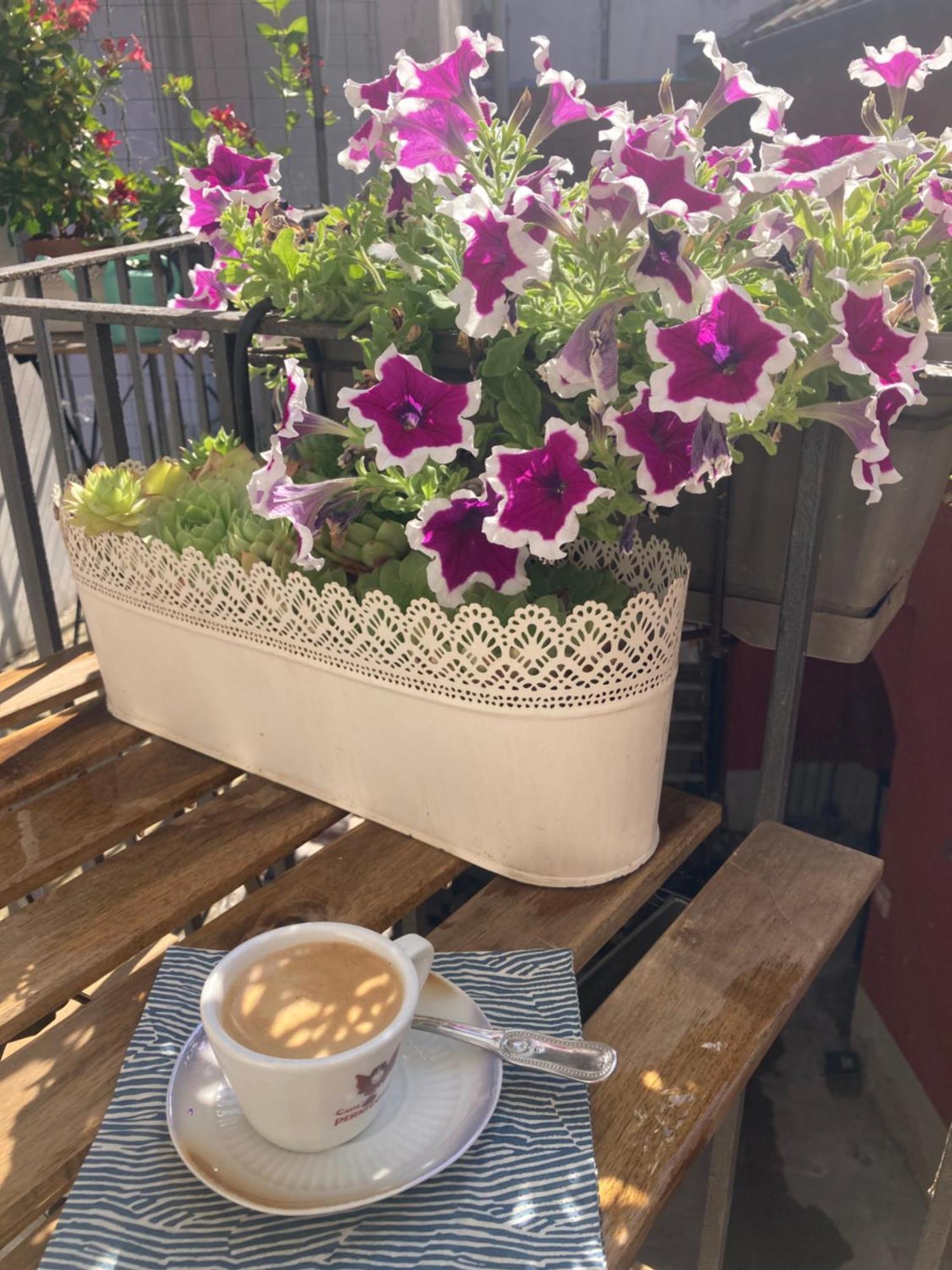 Antica Novi B & B 노비리구레 외부 사진